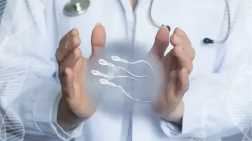 What is the Cost of Male Infertility Treatment?